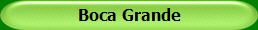 Boca Grande