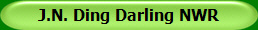 J.N. Ding Darling NWR