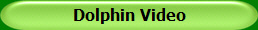 Dolphin Video