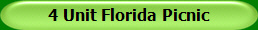 4 Unit Florida Picnic