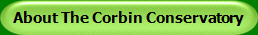 About The Corbin Conservatory